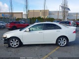 Acura Tsx JH4CL96824C802591 снимка
