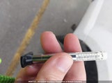 Ford F150 1FTMF1EB8JKD62261 снимка