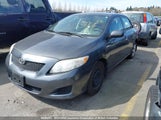 Toyota Corolla S/Le/Xle 2T1BU4EE5AC389203 снимка