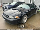 Ford Mustang Gt 1FAFP42X33F430474 снимка