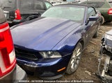 Ford Mustang 1ZVBP8EM4B5129506 снимка