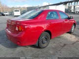 Toyota Corolla Ce 2T1BU4EE5AC350661 снимка