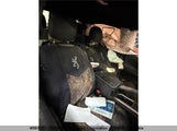 Toyota Tacoma Double Cab/Sr5/Trd Sport/Trd Off Road 3TYDZ5BN6NT012563 снимка