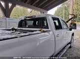 Chevrolet Silverado 3500Hd Lt 1GC4YTEY1MF254572 fotografie