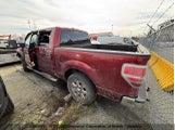 Ford F150 1FTFW1EF4EKF66038 снимка