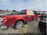 Ford F150 1FTFW1EF4EKF66038 снимка