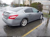 Nissan Maxima 3.5 S 1N4AA51E29C825760 снимка