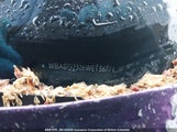 BMW 328 Is Automatic WBABG2326WET36774 снимка