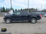 Ford F150 1FTEW1E84AFA38841 снимка