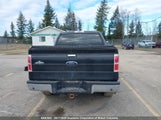 Ford F150 1FTEW1E84AFA38841 fotografie