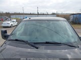 Ford F150 1FTEW1E84AFA38841 снимка