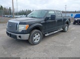 Ford F150 1FTEW1E84AFA38841 снимка