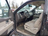 Ford F150 1FTEW1E84AFA38841 снимка
