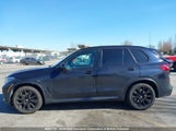 BMW X5 5UXCR6C02M9H53534 снимка
