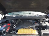 Ford F150 1FTEW1EG0GFB87618 fotografie
