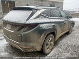 Hyundai Tucson Sel KM8JCCAE3NU031309 снимка