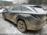 Hyundai Tucson Sel KM8JCCAE3NU031309 снимка