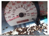 Toyota Tacoma Xtracab 5TEWN72N83Z209441 снимка