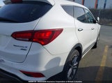 Hyundai Santa Fe Sport 5XYZUDLA8HG453456 снимка