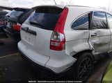 Honda Cr-V Lx JHLRE38397C071945 снимка