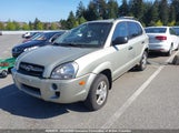 Hyundai Tucson Gls KM8JM12B27U629710 снимка