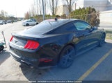 Ford Mustang 1FA6P8TH5N5113609 снимка
