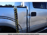 Ford F150 1FTFW1EF9DFA83460 fotografie