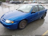 Chevrolet Cavalier 1G1JC52F457127674 снимка