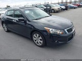 Honda Accord Exl 1HGCP36818A805004 снимка