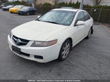 Acura Tsx JH4CL96824C805555 снимка