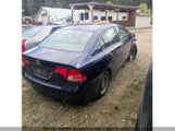 Honda Civic 2HGFA16507H023754 снимка