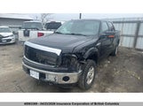 Ford F150 1FTFW1EF5EFA47623 fotografie