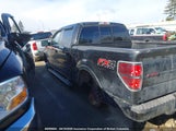 Ford F150 Supercrew 1FTFW1ET3DFD35824 снимка