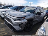 Toyota Rav4 Xle/Xse 2T3RWRFV9LW049551 fotografie