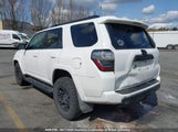Toyota 4Runner Sr5 Prem/Ltdl/Trail/Trd JTEBU5JR4H5423360 fotografie
