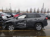 Toyota Rav4 Xle/Woodland Edition 2T3RWRFV2SW283173 fotografie