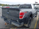 Ford F150 1FTFX1EV3AFC07996 fotografie