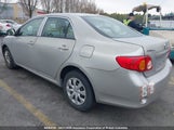Toyota Corolla S/Le/Xle 2T1BU4EE3AC229207 снимка