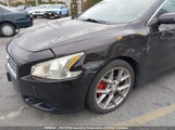 Nissan Maxima S/Sv 1N4AA5AP2AC836599 снимка