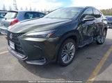 Lexus Nx 350H Base/350H Premium/350H Luxury 2T2GKCEZ0SC049334 fotografie