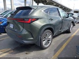 Lexus Nx 350H Base/350H Premium/350H Luxury 2T2GKCEZ0SC049334 fotografie