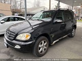 Mercedes-Benz Ml 500 4JGAB75E63A416365 снимка