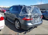 Mercedes-Benz Ml 350 Bluetec 4JGDA2EB9FA605962 снимка
