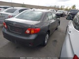 Toyota Corolla S/Le/Xle 2T1BU4EE3AC372030 снимка
