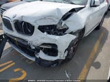 BMW X3 5UXTY5C01LLT34358 fotografie