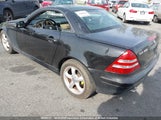 Mercedes-Benz Slk 320 WDBKK65F82F253651 снимка