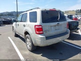 Ford Escape Xlt 1FMCU93G89KA77517 снимка