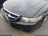 Acura Tsx JH4CL968X5C802565 снимка
