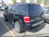Ford Escape Xlt 1FMCU0D78AKC92927 снимка