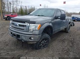 Ford F150 Supercrew 1FTFW1EF8EFB22721 снимка